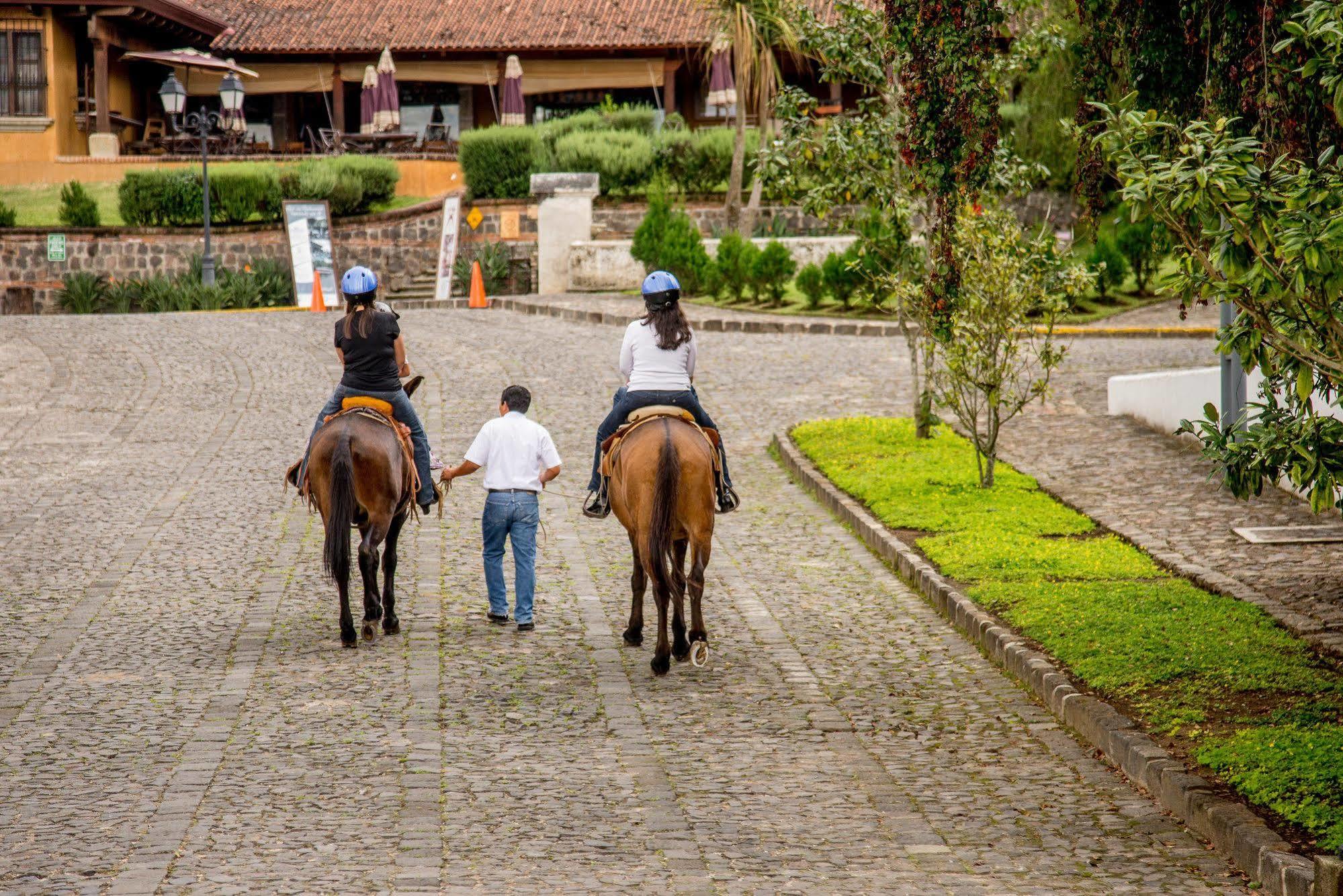 Filadelfia Coffee Resort & Tour Jocotenango Εξωτερικό φωτογραφία