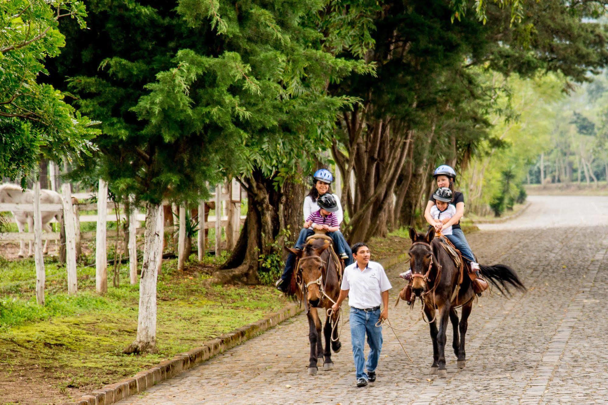 Filadelfia Coffee Resort & Tour Jocotenango Εξωτερικό φωτογραφία